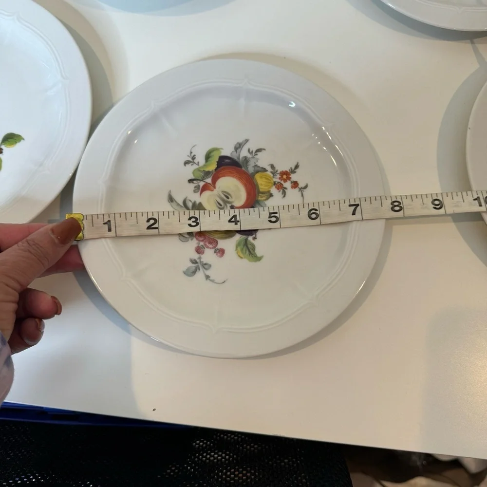 VOHENSTRAUSS-Johann Seltmann-Bavarian Germany Botanical Fruit salad plates